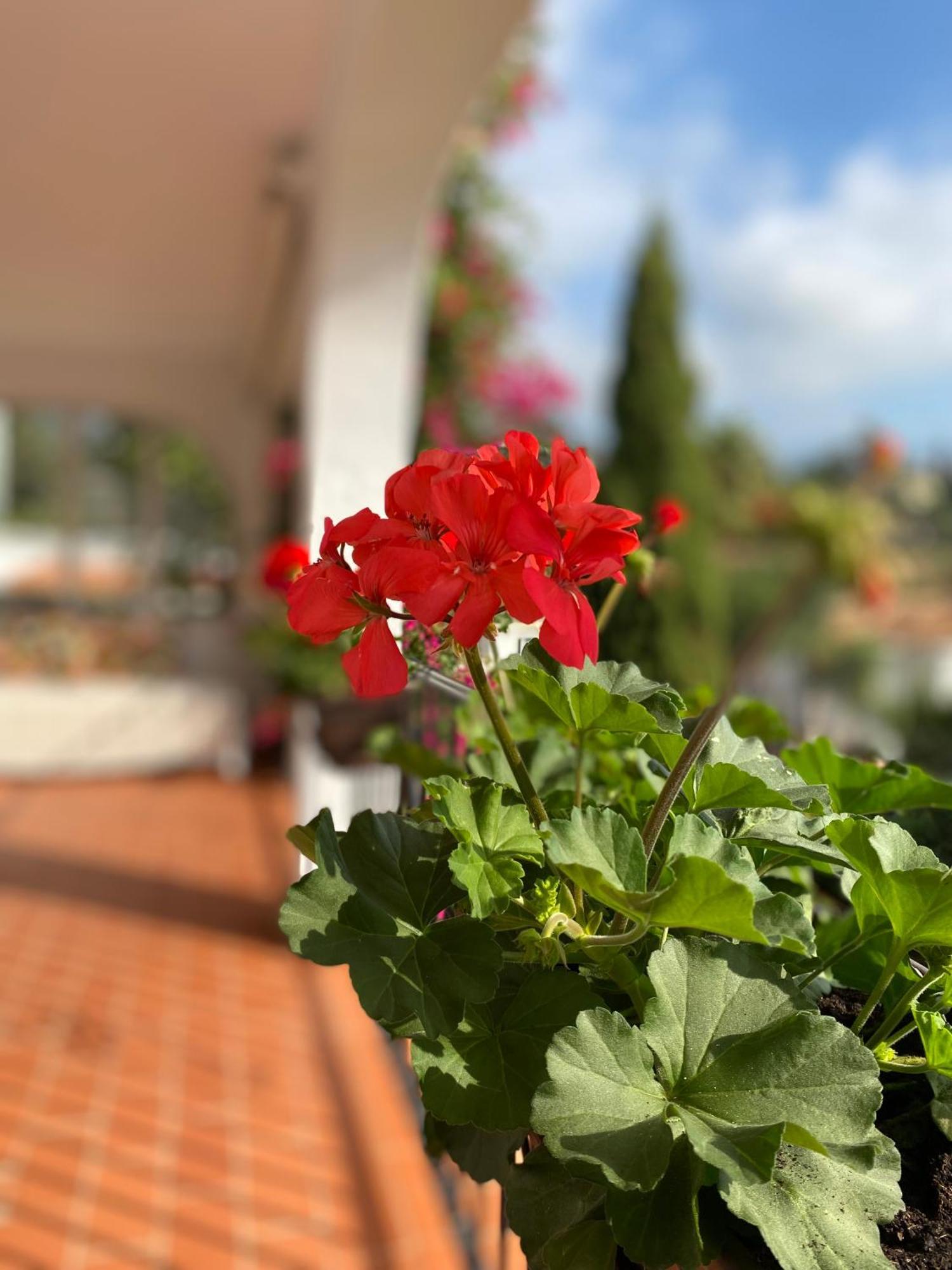 Casa Zawadi Lejlighed Mijas Eksteriør billede